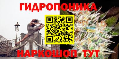 синтетический гашиш Славгород